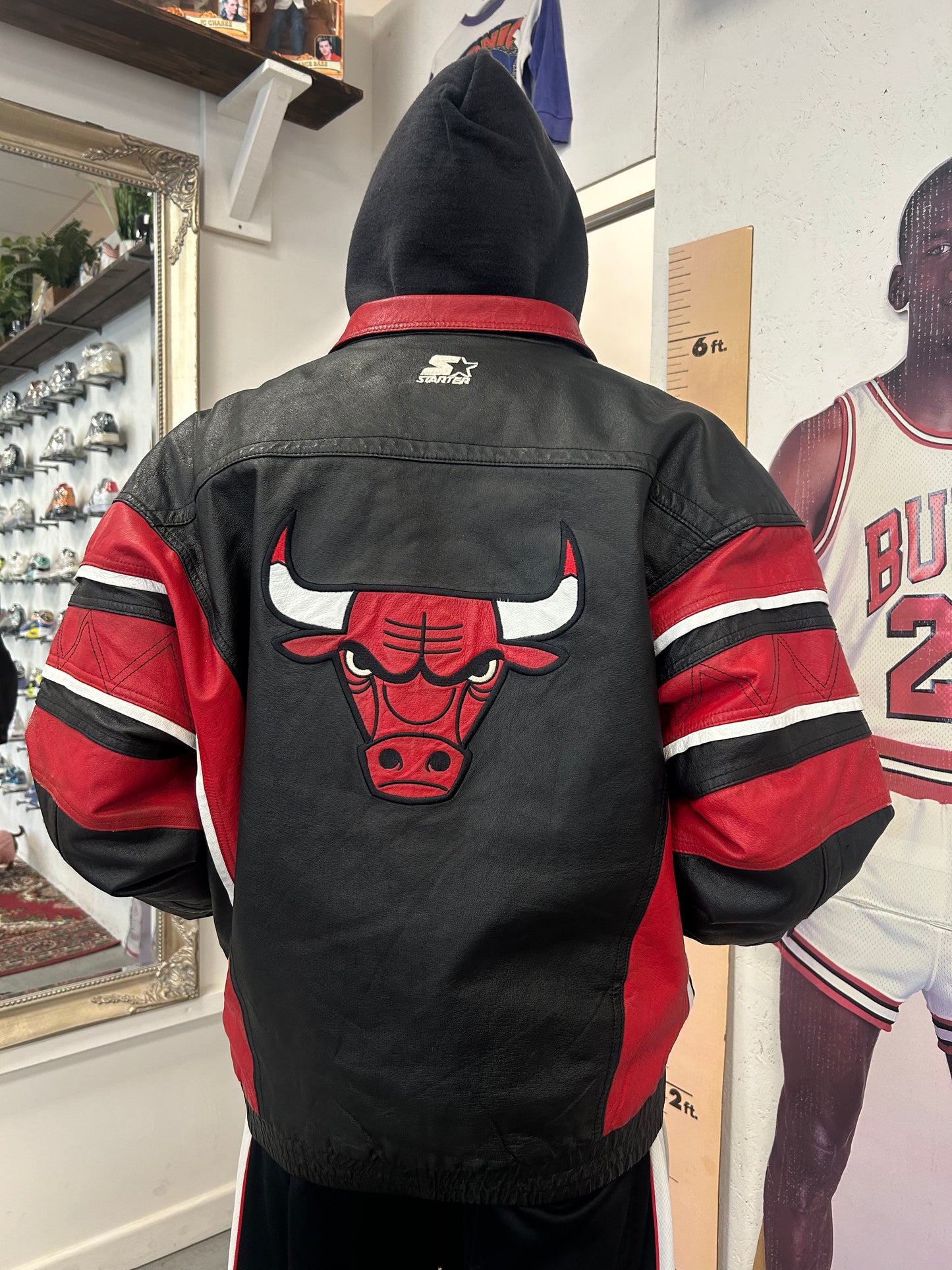 Chicago Bulls Starter Bomber